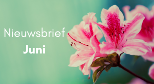 WECO NIEUWSBRIEF